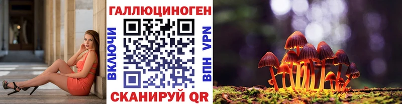 ссылка на мегу рабочий сайт  Иноземцево  Псилоцибиновые грибы мицелий 